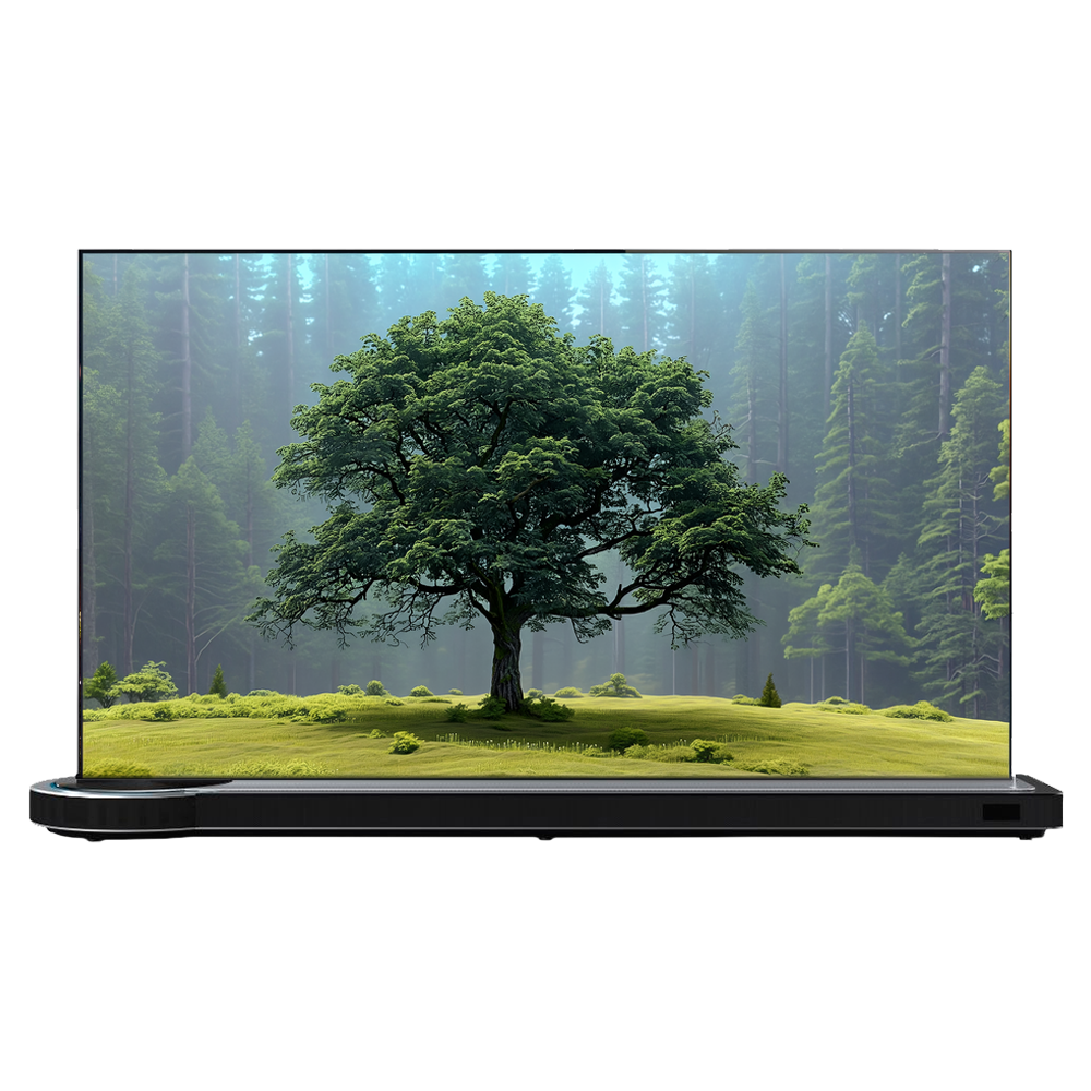 DUAL STUDIO 65
